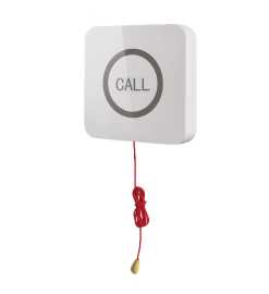 Кнопка вызова для инвалидов iBells-310S
