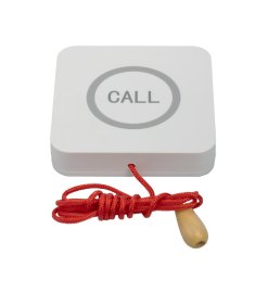 Кнопка вызова для инвалидов iBells-310S